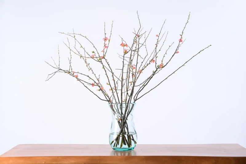 淡い桃色の花が咲く枝ものをガラスの花瓶に生けた例