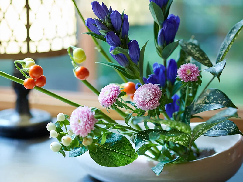 ボケの枝を花瓶に生けた例