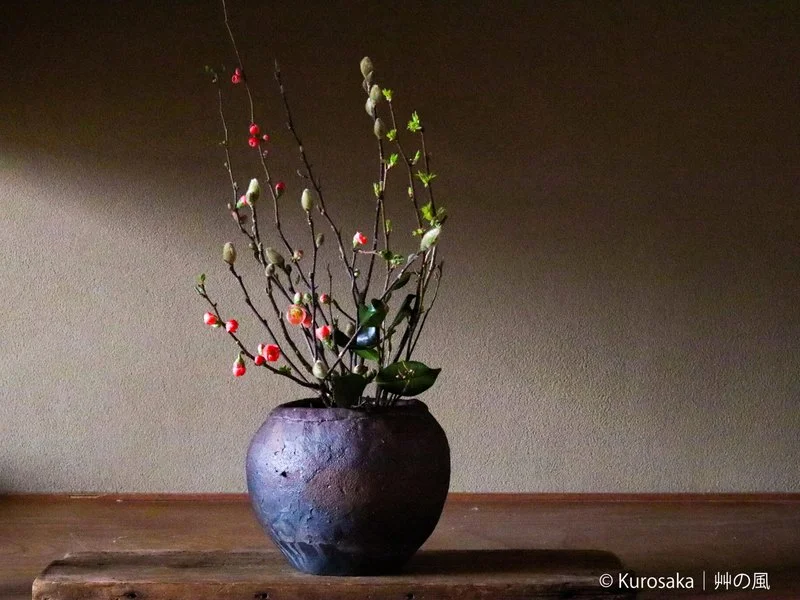 和暦 花の風コースのお届け例（枝ものを丸い壺に生けたもの）