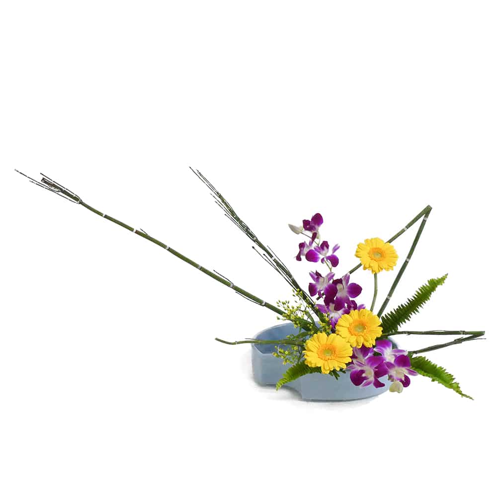 F.ハーモニーコース [2019年4月 - 3回目]