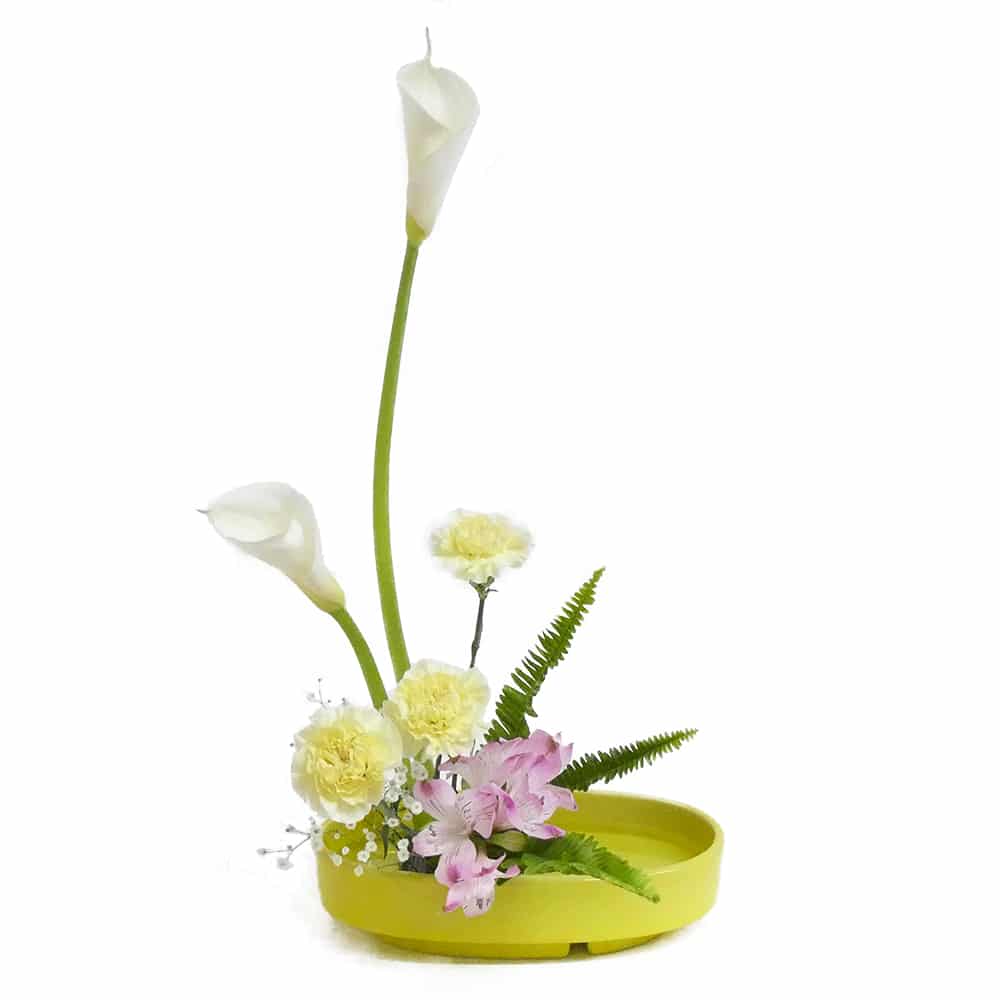 F.ハーモニーコース [2019年4月 - 3回目]