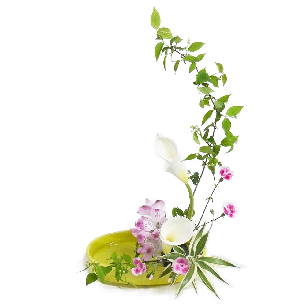 F.ハーモニーコース [2019年4月 - 3回目]