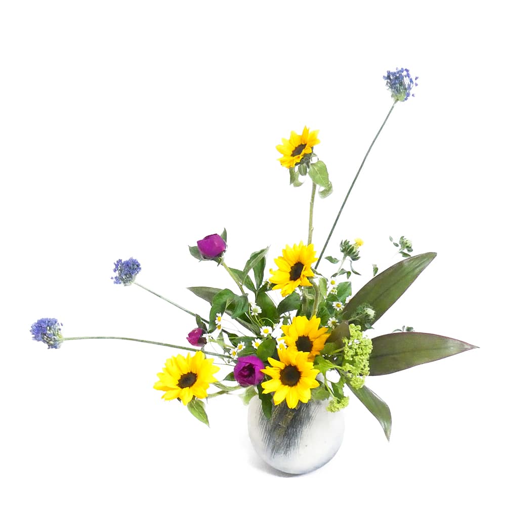 F.ハーモニーコース [2019年4月 - 3回目]