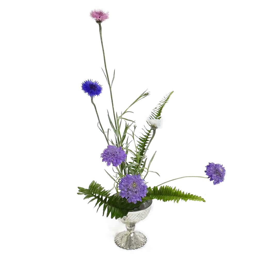 F.ハーモニーコース [2019年4月 - 3回目]