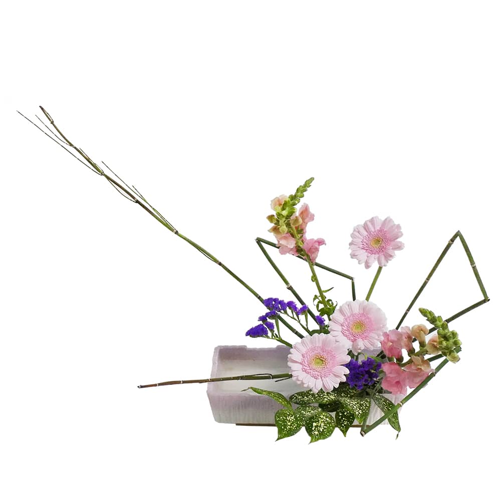 A.バラエティコース [2019年4月 - 2回目]