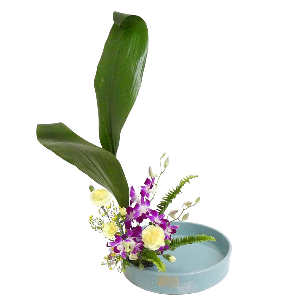 A.バラエティコース [2019年4月 - 2回目]