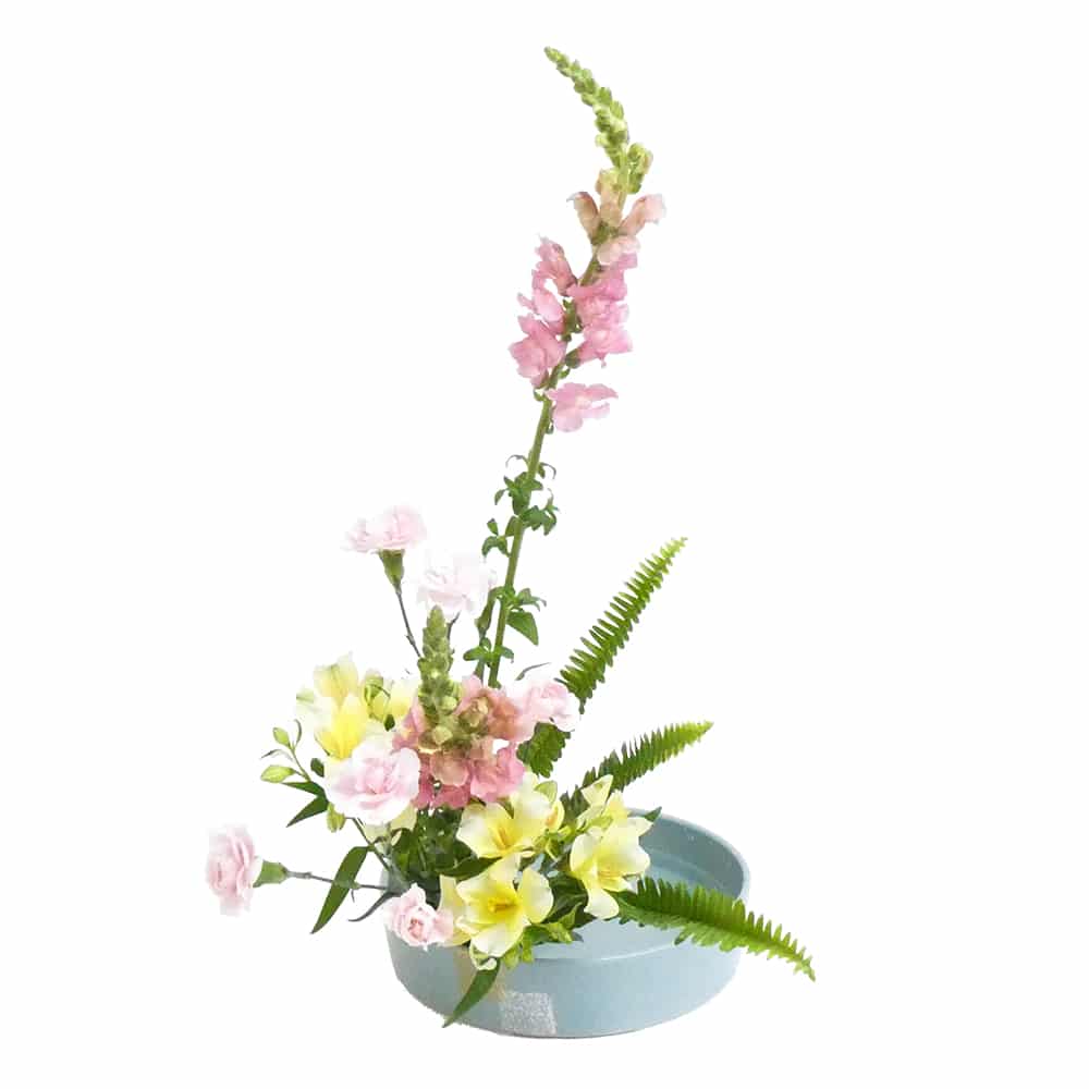 A.バラエティコース [2019年4月 - 2回目]