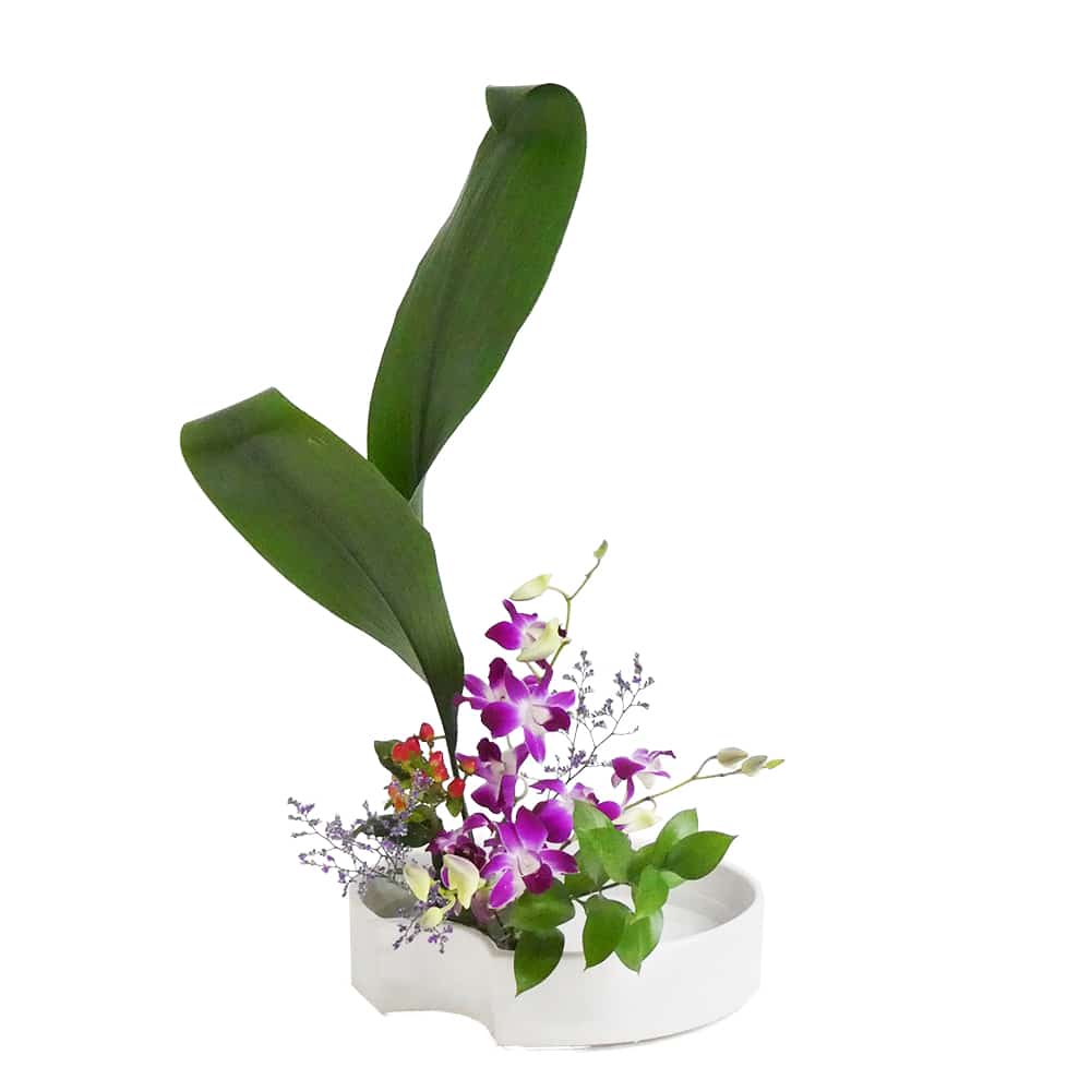 S.スポットフラワー [2019年4月 - 1回目]