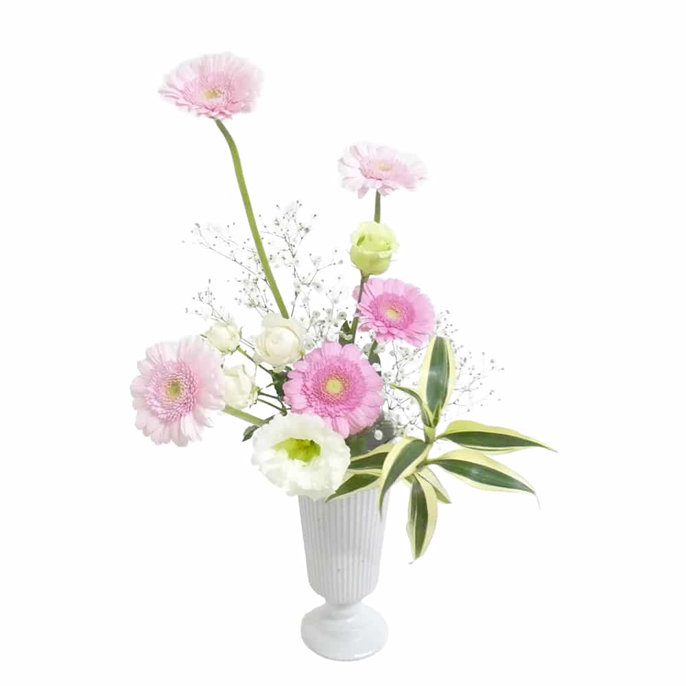 B.ファンタジーコース [2019年4月 - 2回目]