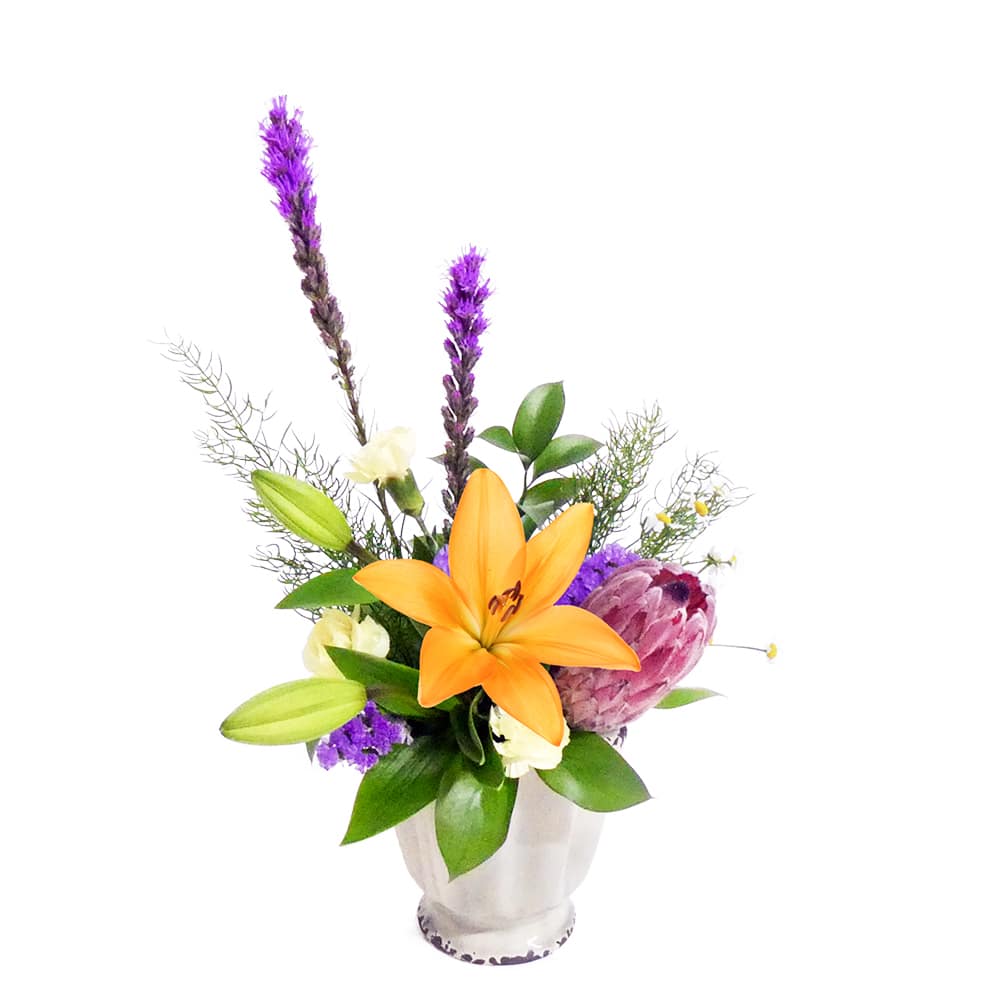 S.スポットフラワー [2019年4月 - 1回目]