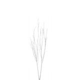 季節の特別商品ご注文フォーム