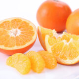 2026年 さんらいふ生活２月号