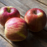 2026年 さんらいふ生活２月号