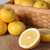 2026年 さんらいふ生活２月号