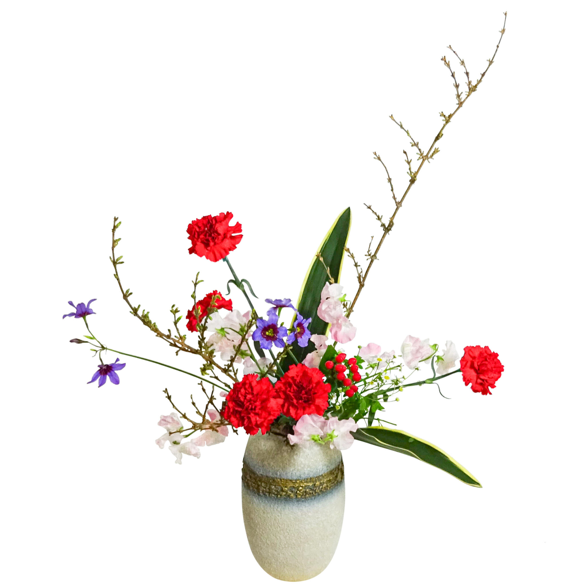 D.ハイグレードコース [2024年1月 – 3回目] | 日本総合園芸の花の