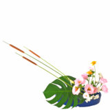 W.月２回お届けコース ［2024年7月 - 特別配達回］