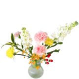 H.花瓶スタータープラスコース [2024年12月 - 1回目]