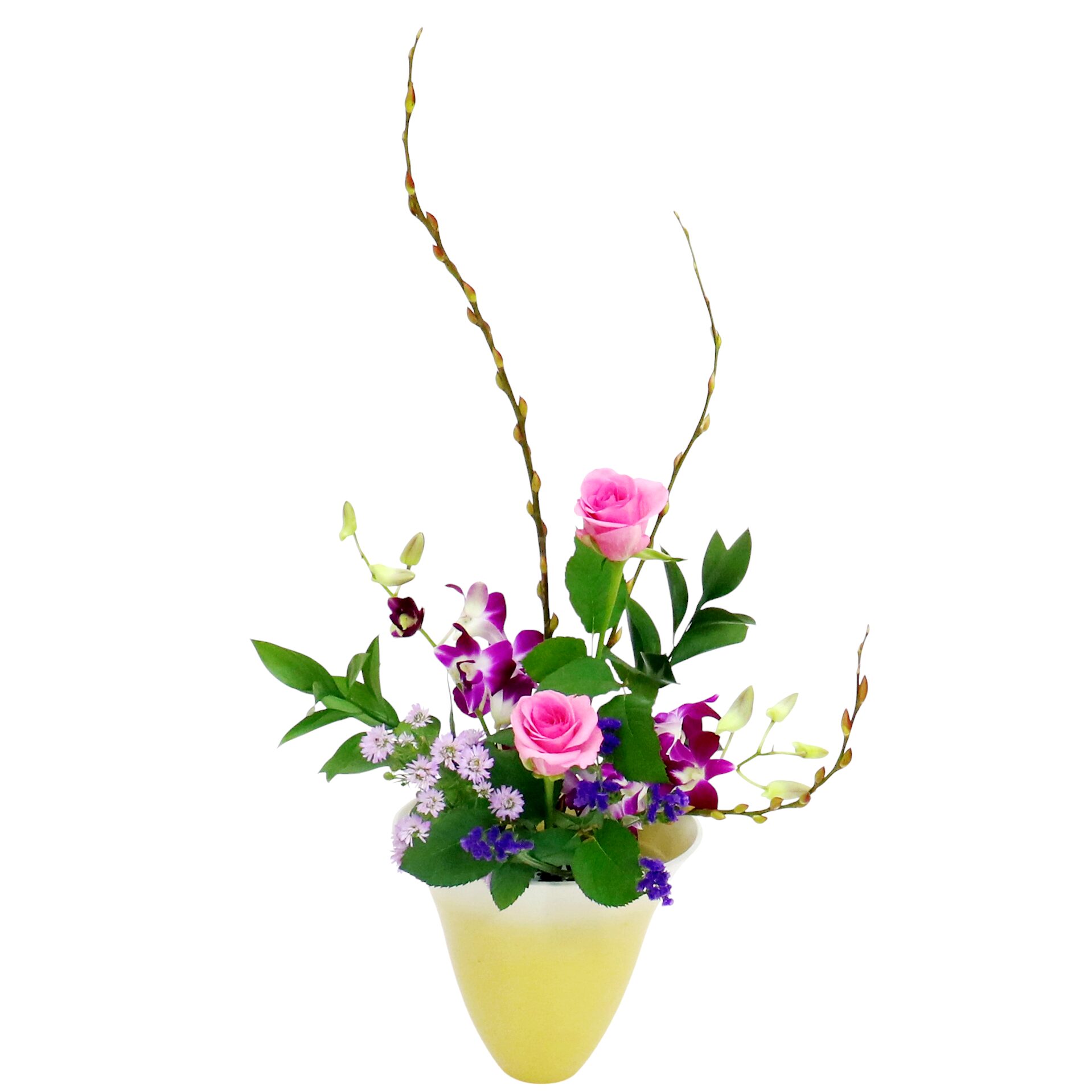 Z.水盤スタンダードコース [2024年12月 – 2回目] | 日本総合園芸の花の