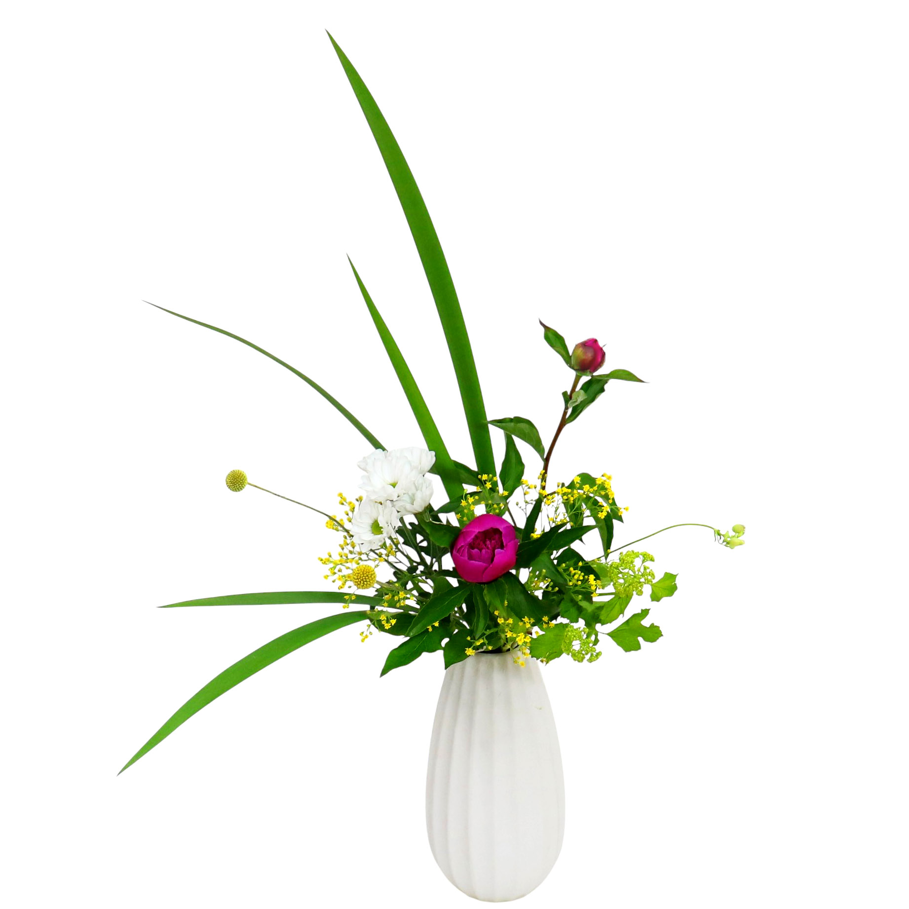 H.花瓶スタータープラスコース [2025年5月 – 1回目] | 日本総合園芸の