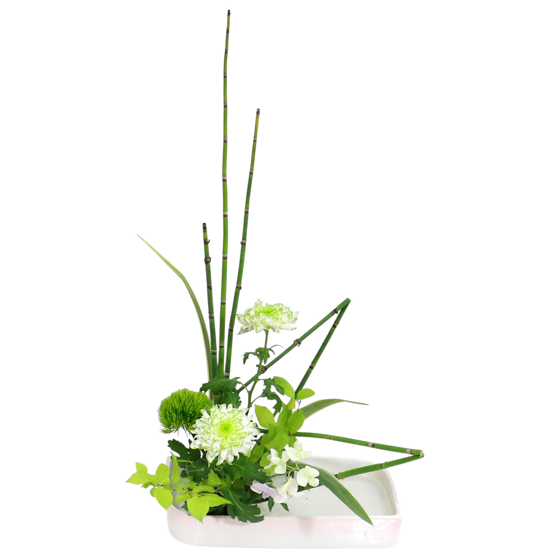 花花 Z.水盤スタンダードコース [2025年6月 – 1回目] | 日本総合園芸の花の