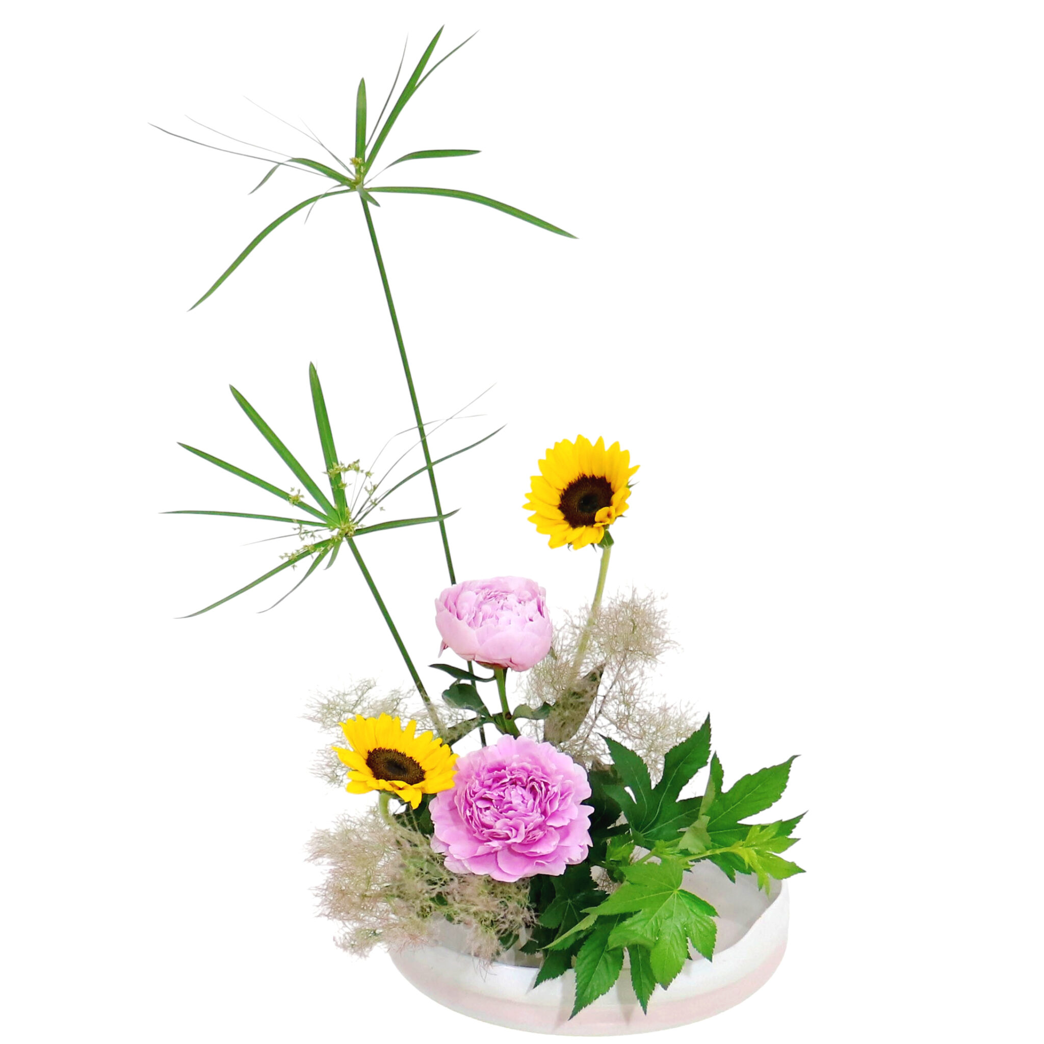 Z.水盤スタンダードコース [2025年6月 – 3回目] | 日本総合園芸の花の