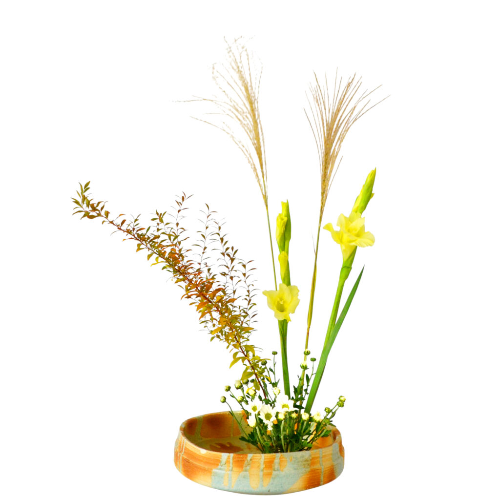 C.水盤スターターコース [2025年10月 - 1回目]