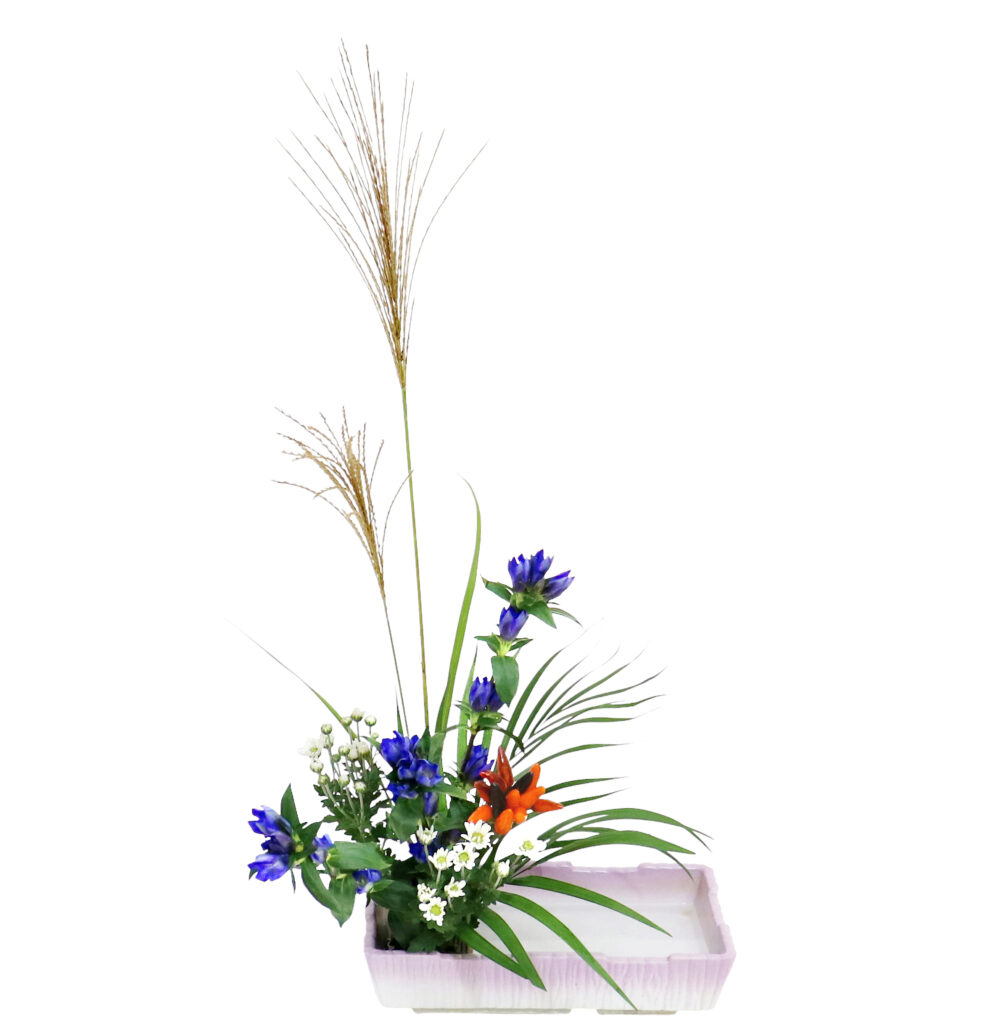 F.花瓶・水盤スターターコース [2025年10月 - 1回目]