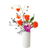 H.花瓶スタータープラスコース [2025年10月 - 1回目]