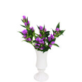 S.プラスONE 切り花S [2025年10月 - 1回目]