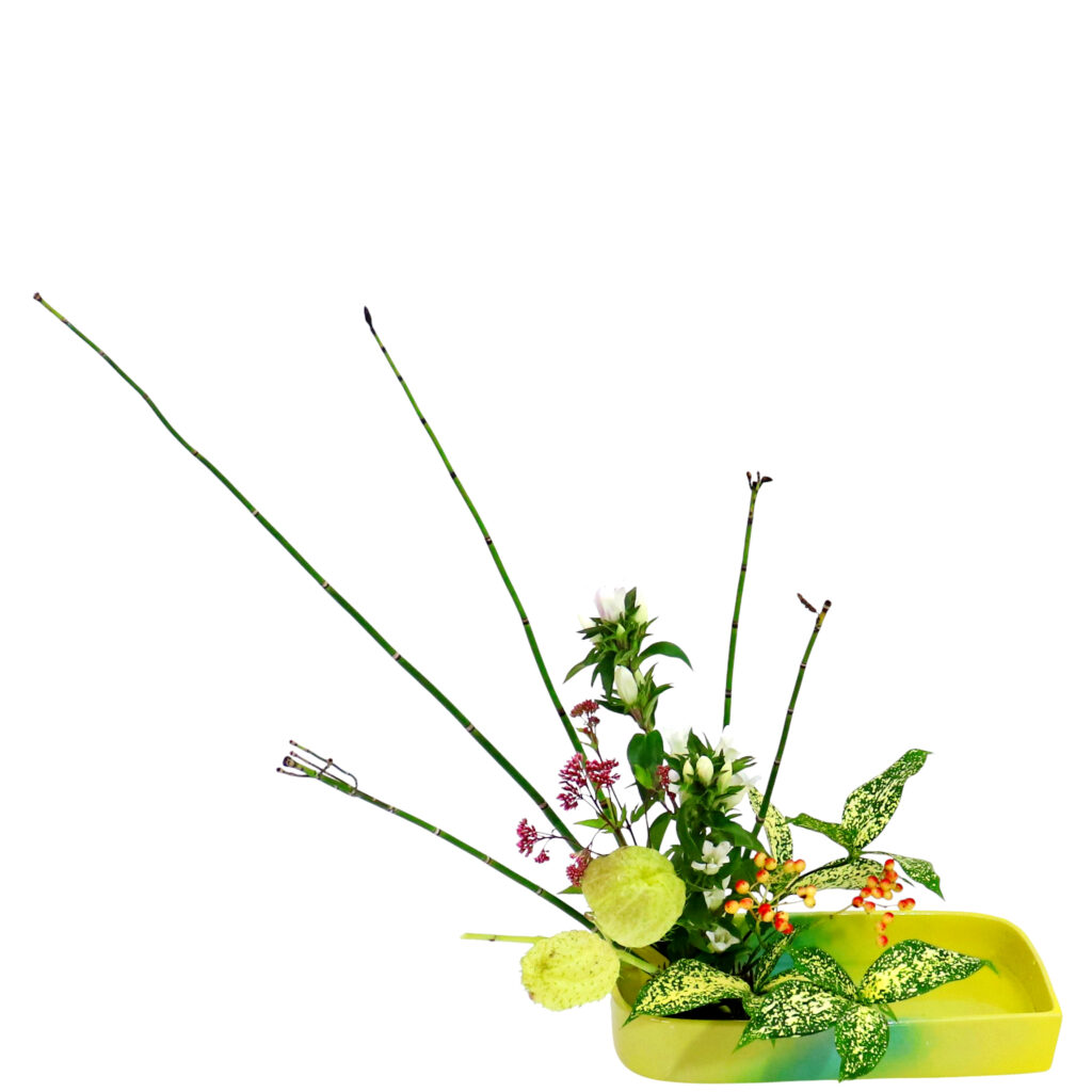 Z.水盤スタンダードコース [2025年10月 - 1回目]