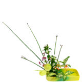 Z.水盤スタンダードコース [2025年10月 - 1回目]