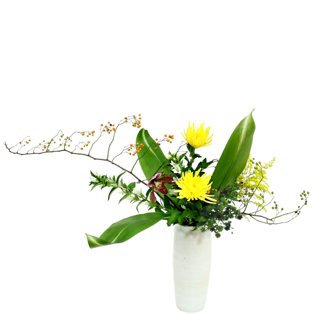 D.花瓶プレミアムコース [2025年10月 - 1回目]