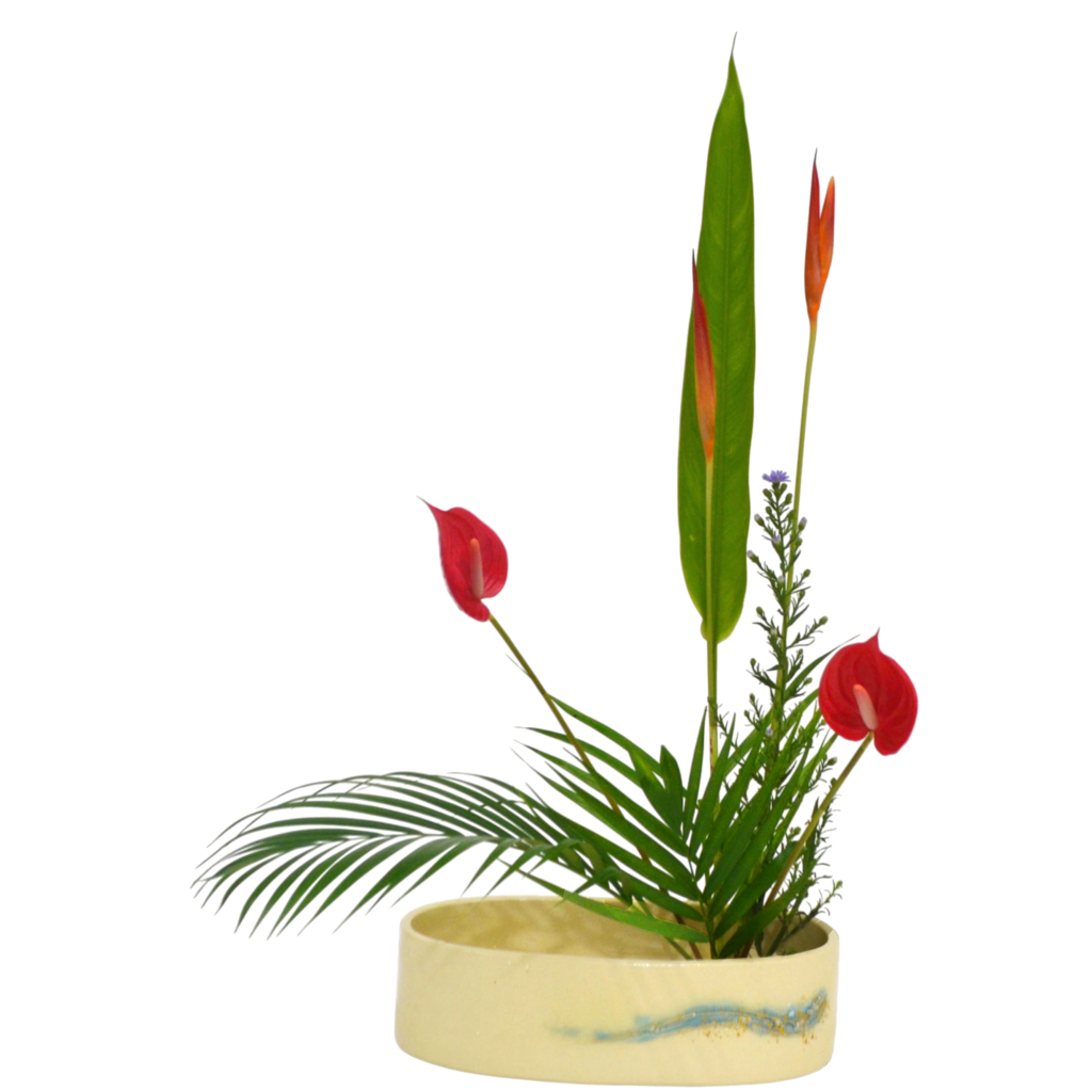 C.水盤スターターコース [2025年9月 - 3回目]