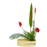 C.水盤スターターコース [2025年9月 - 3回目]