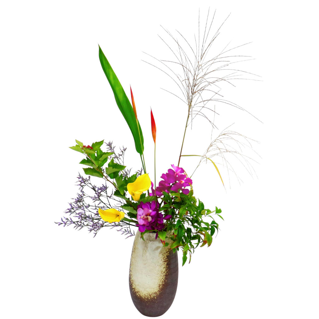 D.花瓶プレミアムコース [2025年9月 - 3回目]