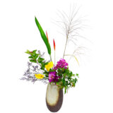 D.花瓶プレミアムコース [2025年9月 - 3回目]