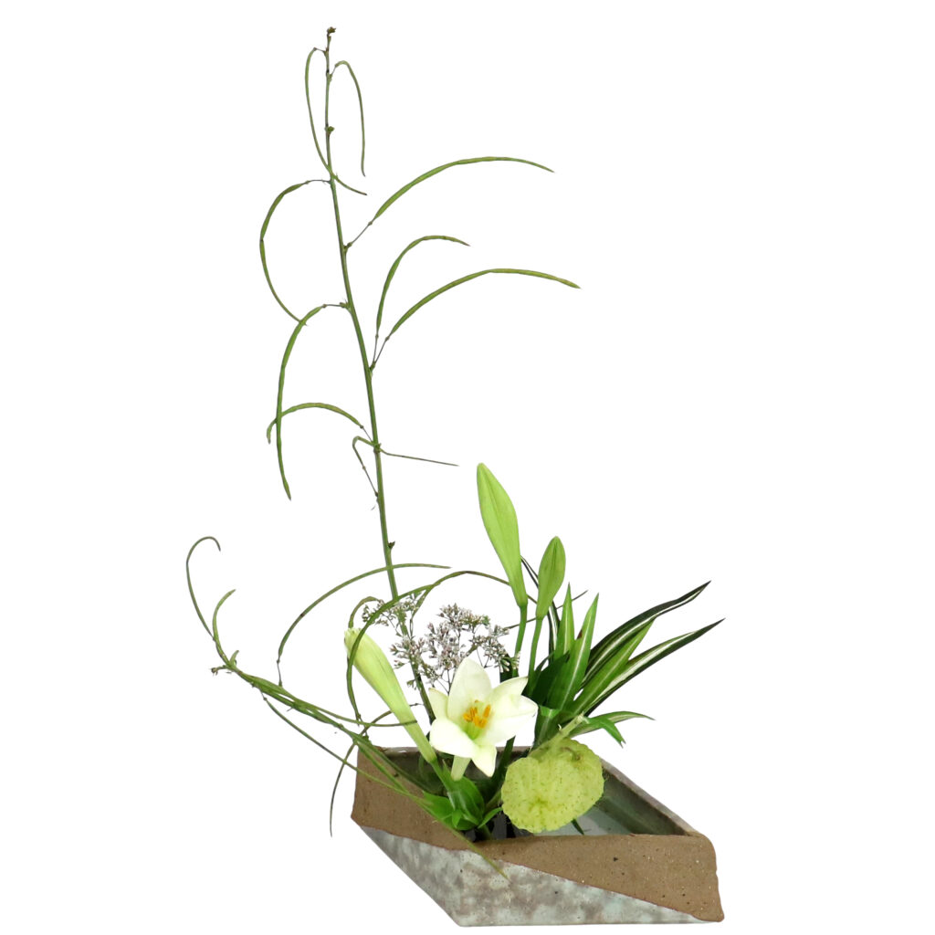 W.花瓶・水盤月2回コース [2025年9月 - 3回目]