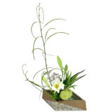 W.花瓶・水盤月2回コース [2025年9月 - 3回目]