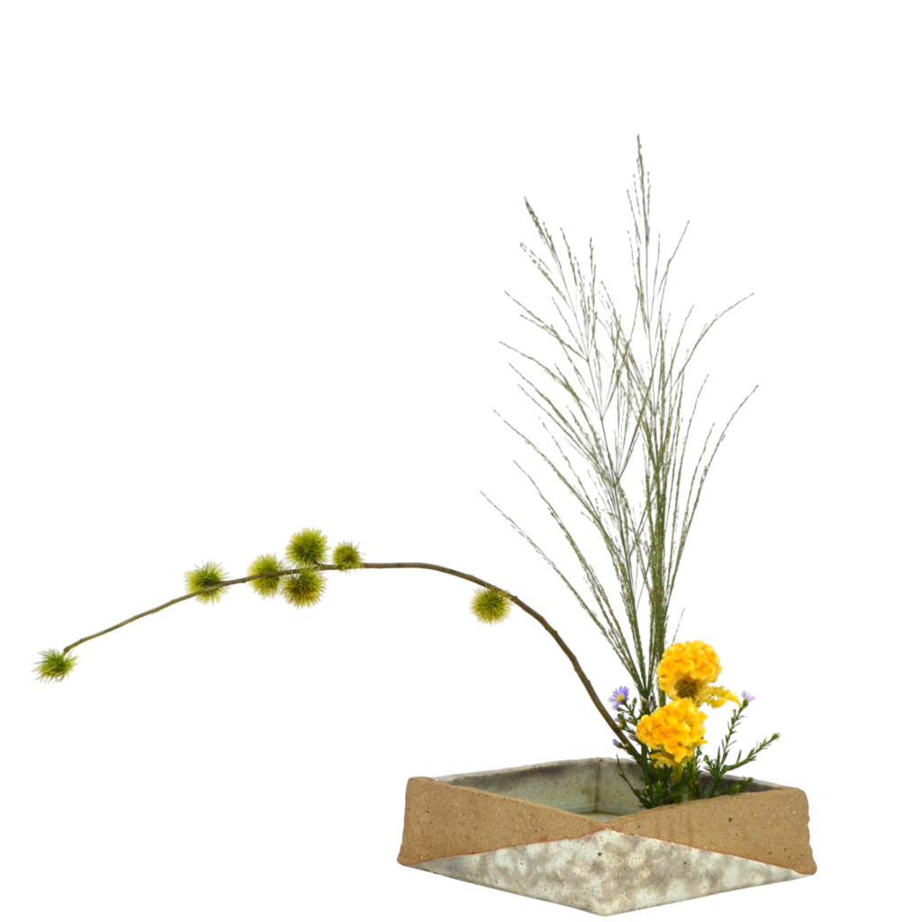 Z.水盤スタンダードコース [2025年9月 - 3回目]