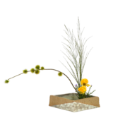 Z.水盤スタンダードコース [2025年9月 - 3回目]