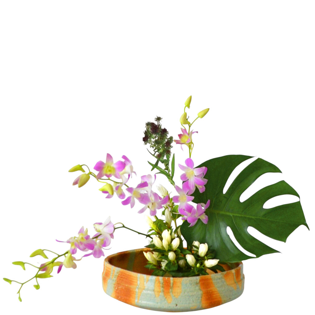 C.水盤スターターコース [2025年10月 - 2回目]