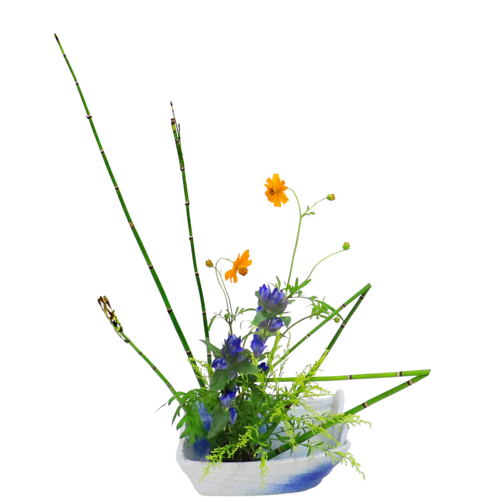 A.花瓶・水盤バラエティーコース [2025年10月 - 2回目]