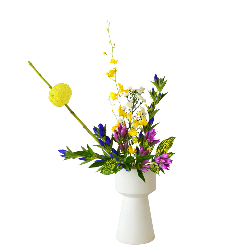 B.花瓶スターターコース [2025年10月 - 2回目]