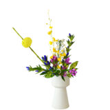 B.花瓶スターターコース [2025年10月 - 2回目]