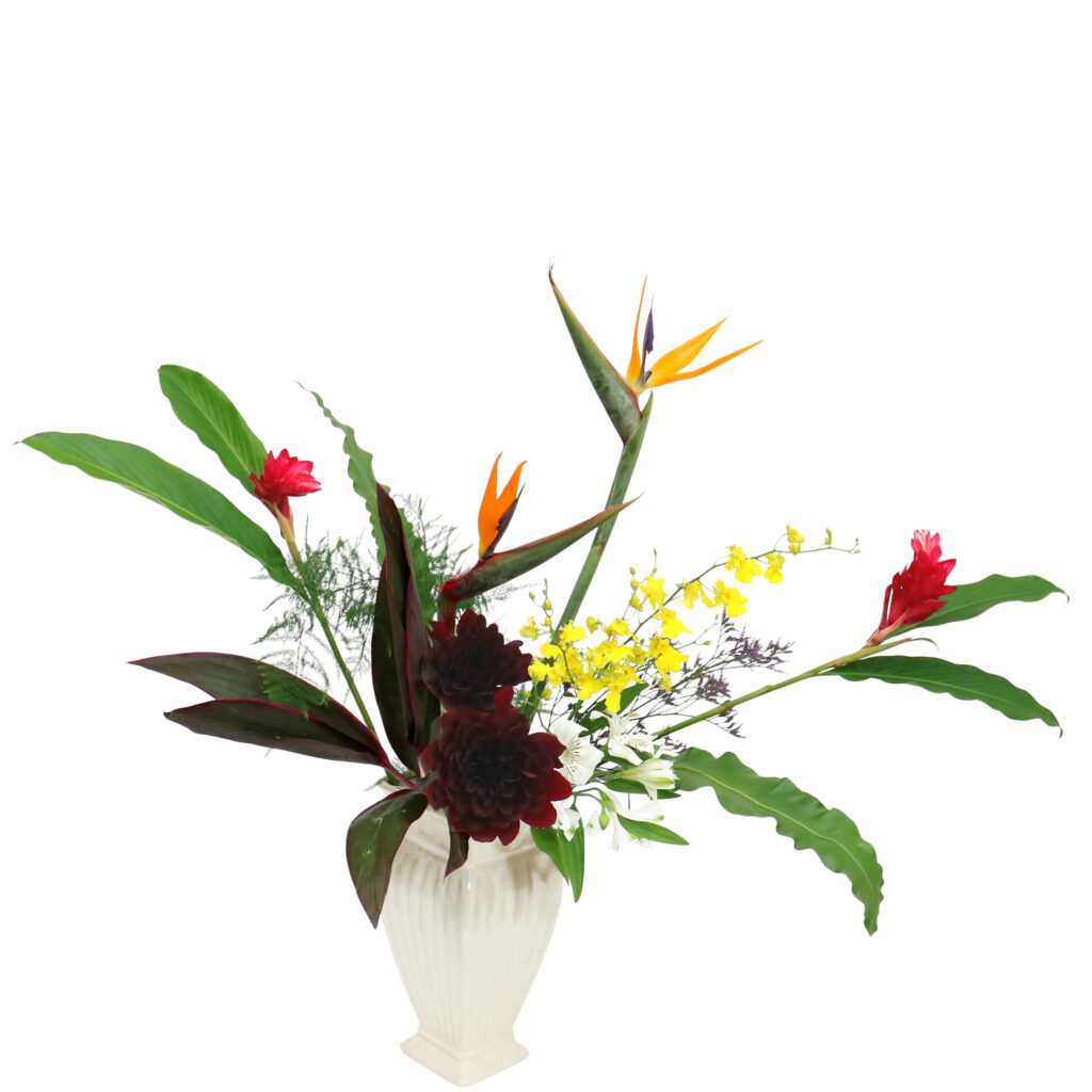 D.花瓶プレミアムコース [2025年10月 - 2回目]