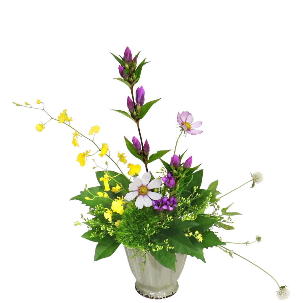 E.アレンジメント花材コース [2025年10月 - 2回目]