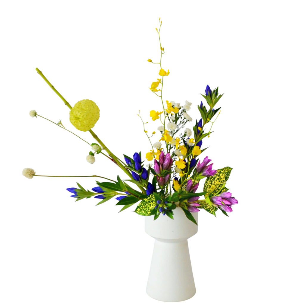 H.花瓶スタータープラスコース [2025年10月 - 2回目]