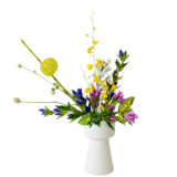 H.花瓶スタータープラスコース [2025年10月 - 2回目]