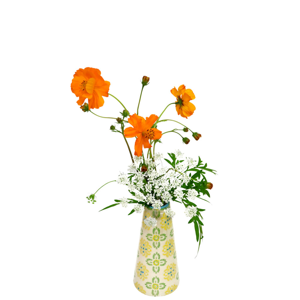 S.プラスONE 切り花S [2025年10月 - 2回目]