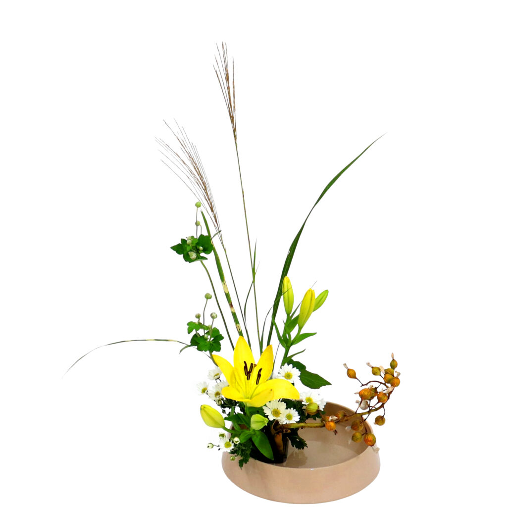 Z.水盤スタンダードコース [2025年10月 - 2回目]